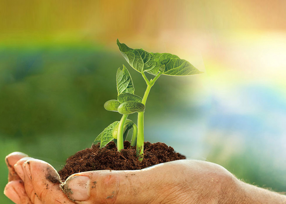 Z6尊龙·凯时(中国)-官方网站