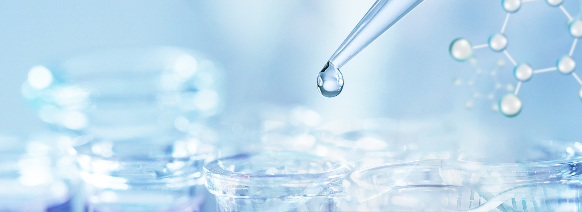 Z6尊龙·凯时(中国)-官方网站