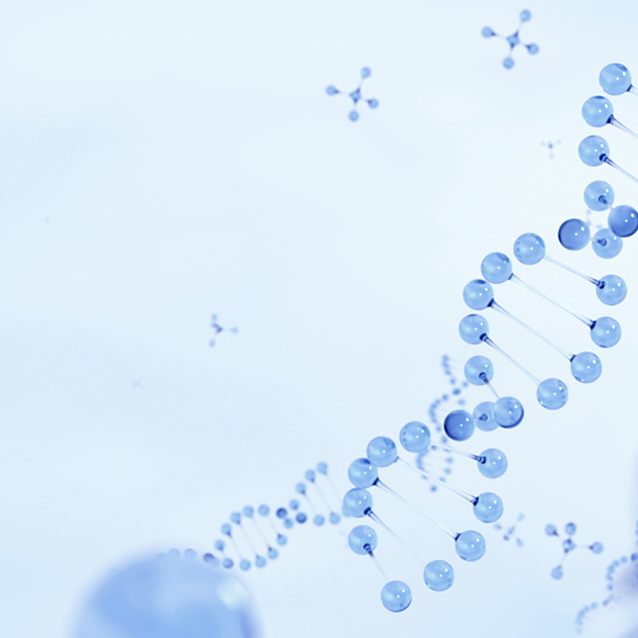 Z6尊龙·凯时(中国)-官方网站