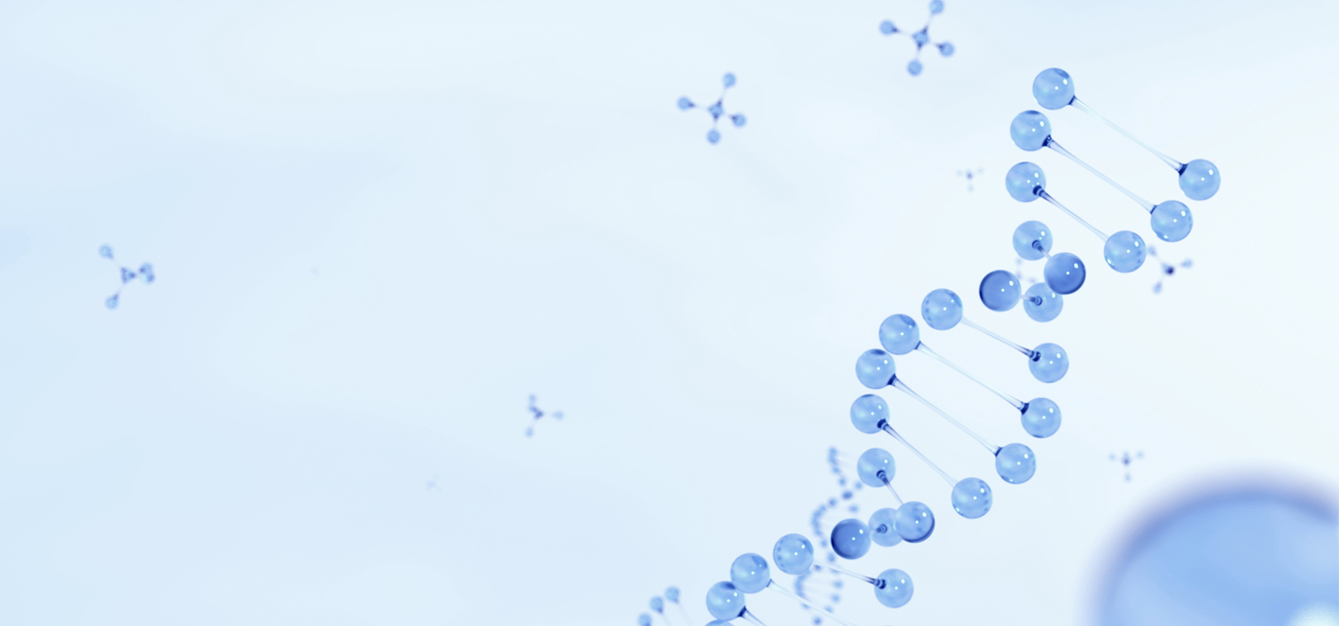 Z6尊龙·凯时(中国)-官方网站